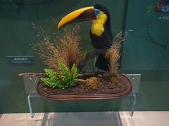 -国家自然博物馆