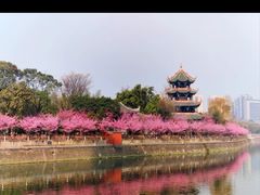 -望江楼公园