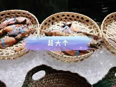 -美食汇自助餐厅(成都万达瑞华酒店)