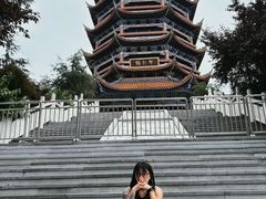 -铁山坪森林公园