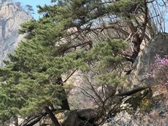 -丹东凤凰山景区