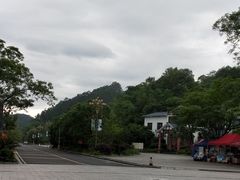 -九龙江国家森林公园