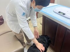 -美联众合动物医院·24h转诊中心