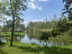 -溱湖国家湿地公园