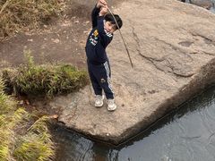 -汤旺河林海奇石景区