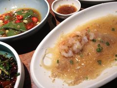 -前海沿·青岛菜(大拇指广场石老人店)