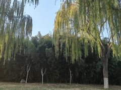 -济南国际园博园