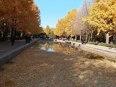 -玲珑塔公园