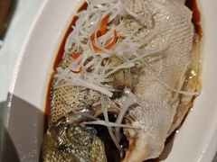 -便宜坊烤鸭店(贵园里店)