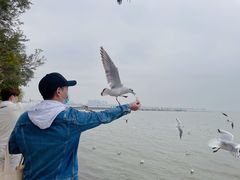 -滇池海埂公园