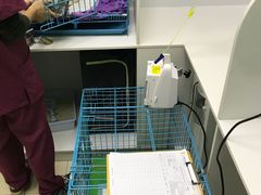 -瑞鹏宠物医院·内科·中兽医·骨科(苗圃店)