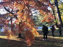 -京都御所