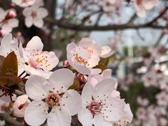 -米屋石锅拌饭(师大店)