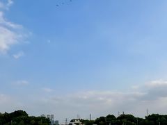 -长洲岛
