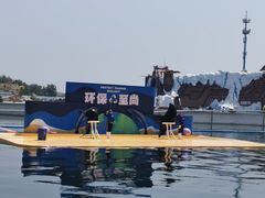 -秦皇岛乐岛海洋王国