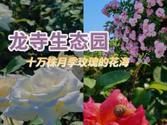 -龙寺生态园