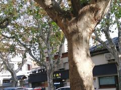 -乔家栅(襄阳南路店)