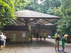 -武吉知马自然保护区