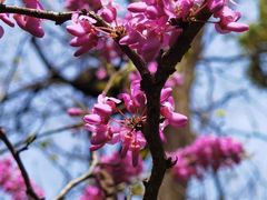 -复旦大学附属华山医院(总院)