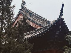 -洛阳白马寺