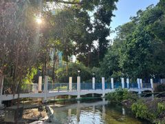 -九龙公园
