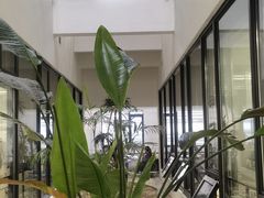 -上海市徐汇区口腔医院