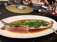 -上海新锦江大酒店