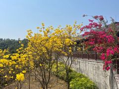 -广州白江湖森林公园