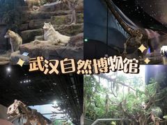 -武汉园博园(武汉自然博物馆)