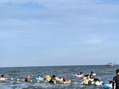 -日照海滨国家森林公园