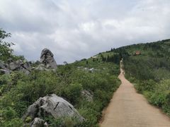 -长虫山生态公园风景林