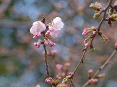 -静安雕塑公园