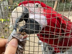 -南宫五洲植物乐园