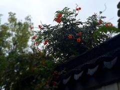 -雅达·阳羡溪山小镇中心