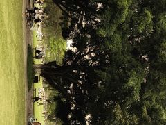 -东莞植物园