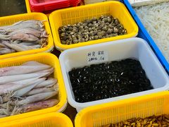 -大湾区中央湿地公园-十九涌