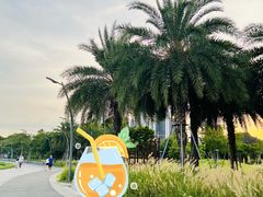 -深圳湾公园(南山区)