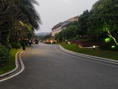 -南宁荔园维景国际大酒店·荔园中餐厅