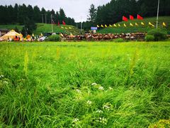 -塞罕坝国家级自然保护区