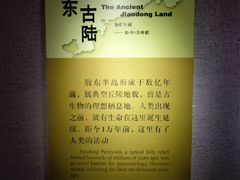 -烟台市博物馆