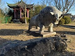 -江南天池