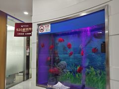 -雅悦齿科(顾村公园店)
