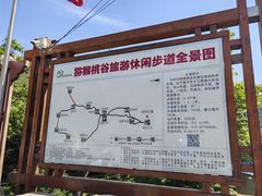 -大岭沟猕猴桃谷风景区