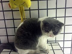 -娜娜家•Nana’Garden (福州道店)