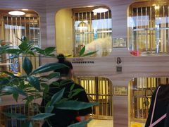 -1013 PET SHOP 宠物商店(近铁城市广场店)
