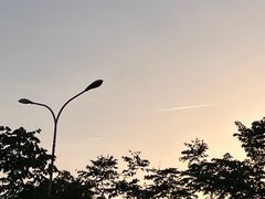 -真茶屋·0奶精(街道口一店)