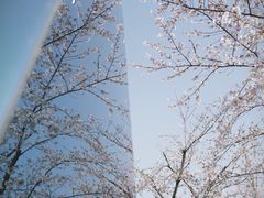 -龙美术馆(西岸馆)