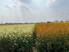 -中国天府农业博览园