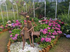 -中国科学院华南植物园