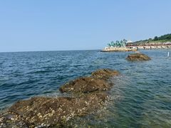 -养马岛旅游度假区